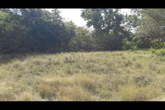 lieudit Bernard, GOSIER - Mare Gailllard 14 061 m², Mare Gaillard-Petit Havre, Le Gosier 97190, Guadalupe