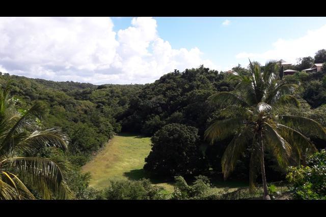 Lieudit Bernard, GOSIER - Mare Gaillard 63 689mÂ², Mare Gaillard-Petit Havre, Le Gosier 97190, Guadeloupe