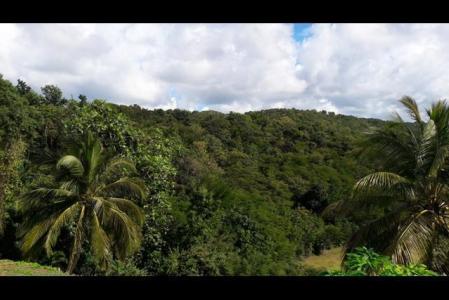 Lieudit Bernard, GOSIER - Mare Gaillard 63 689mÂ², Mare Gaillard-Petit Havre, Le Gosier 97190, Guadeloupe