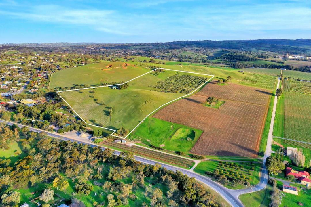 Lot 404 Richard Street, Penrice, SA 5353, Úc