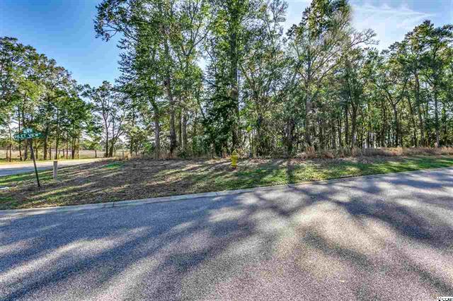 Lot 79 Marsh Point waters edge Etates, North Myrtle Beach, 南卡羅來納州 29582, 美國