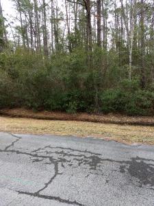 110 Great Inagua Court, New Bern, NC 28560, USA