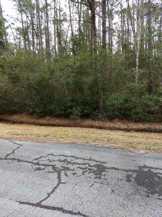 110 Great Inagua Court, New Bern, צפון קרוליינה 28560, ארצות הברית של אמריקה