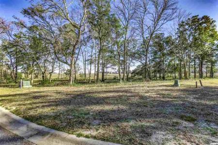 Lot 88 Marsh Point Dr Lot 88 Waters Edge Estates, North Myrtle Beach, South Carolina 29582, Stati Uniti