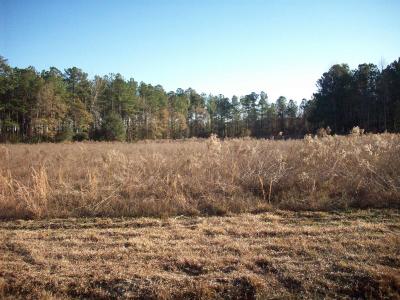 0 Lee Britt Road, Lumberton, NC 28358, USA