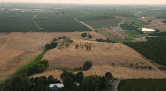 TBD N Crow Rd, Prosser, Washington 99350, USA