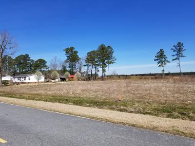 1618 Lot 5 Boyd Loop Road, Pinetown, NC 27865, USA