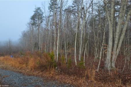 00 Bethesda Church Road, Madison, North Carolina 27025, Stati Uniti