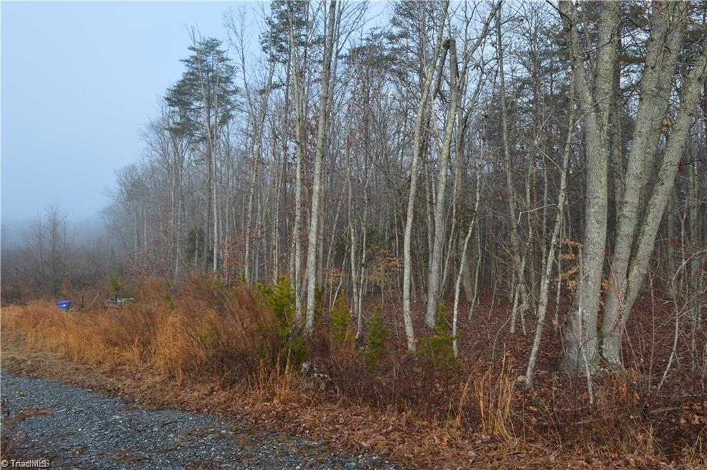 00 Bethesda Church Road, Madison, Karolina Północna 27025, USA