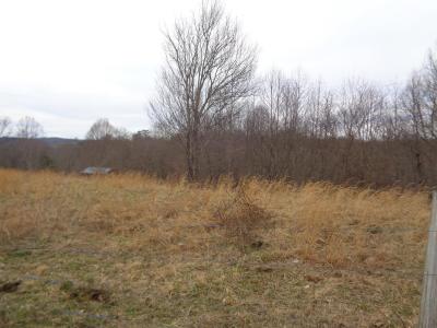 4300 Slate Lick Rd, Londres, Kentucky 40741, Estados Unidos