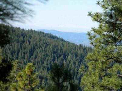 7487 Yosemite Park Way, YOSEMITE WEST, Californie 95389, États-Unis