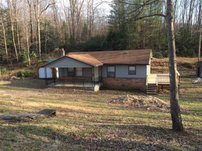 1125 DOTSON RIDGE, Hico, WV 25854, USA