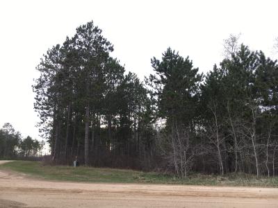 Mayberry Dr, Cass Lake, Minnesota 56633, USA