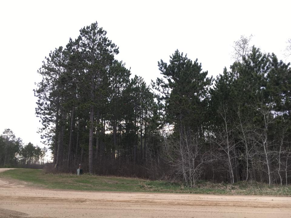 Mayberry Dr, Cass Lake, Minnesota 56633, Estados Unidos