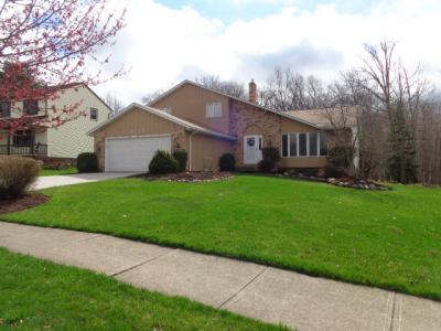 9123 Running Brook Dr., Parma, Ohio 44130, HOA KỲ