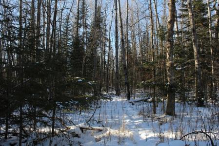 TBD Lot 1 County Road 19, Deer River, Minnesota 56636, Estados Unidos