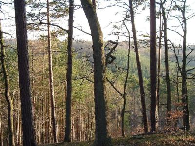 6053 W Corral Way Drive, Bloomington, Indiana 47403, HOA KỲ