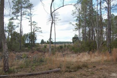 5280 Creek Pointe Road, New Bern, Carolina Do Norte 28560, Estados Unidos