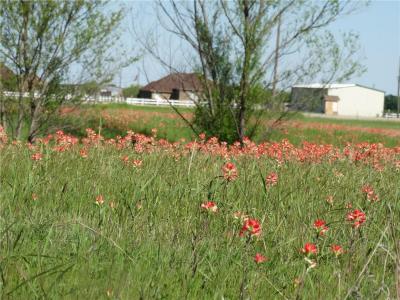 FM 156 Circle, Sanger, テキサス 76266, アメリカ合衆国