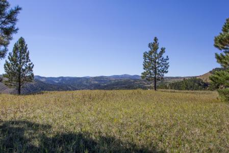 TBD Hwy 85, Deadwood, South Dakota 57732, USA