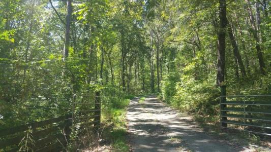 456.72 Paul Hackworth Rd, Whitwell, Tennessee 37397, USA