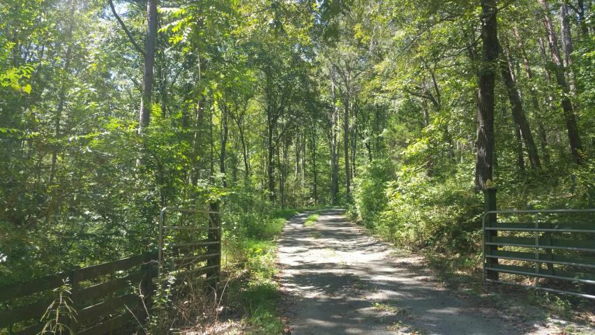 456.72 Paul Hackworth Rd, Whitwell, Tennessee 37397