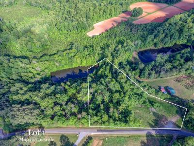 Lot 1 Combs Road, Reidsville, Carolina Do Norte 27320, Estados Unidos