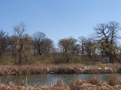 XXX Highway 29 N, Alexandria, Minnesota 56308, Estados Unidos