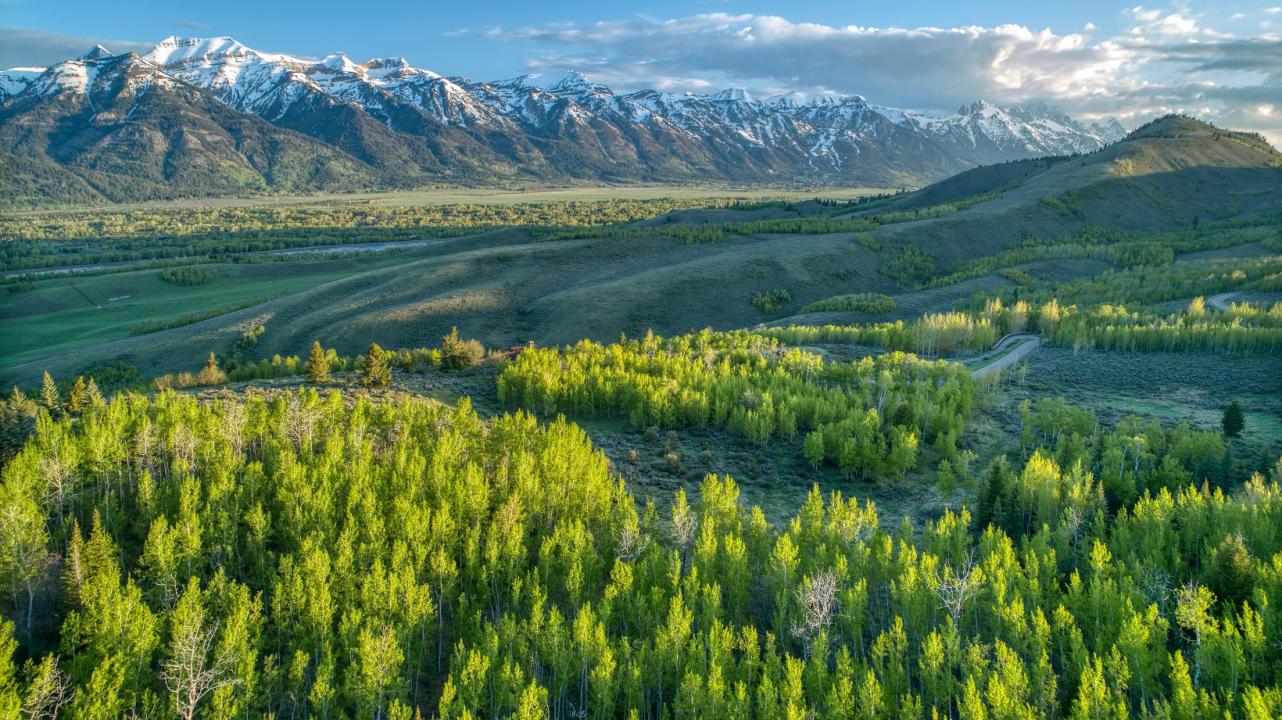 2725 Trader Road, Jackson, ויומינג 83001, ארצות הברית של אמריקה