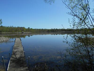 5035 Brinkman Dr NE, Bemidji, מינסוטה 56601, ארצות הברית של אמריקה