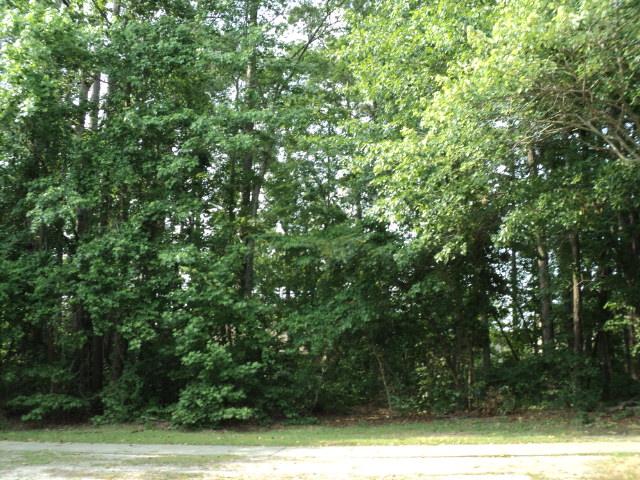 0 Oakridge Boulevard, Lumberton, Karolina Północna 28358, USA