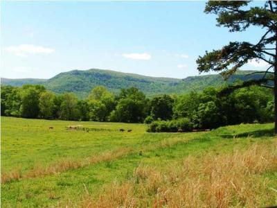 34.14 Paul Hackworth Rd, Whitwell, Теннесси 37397, Соединенные Штаты