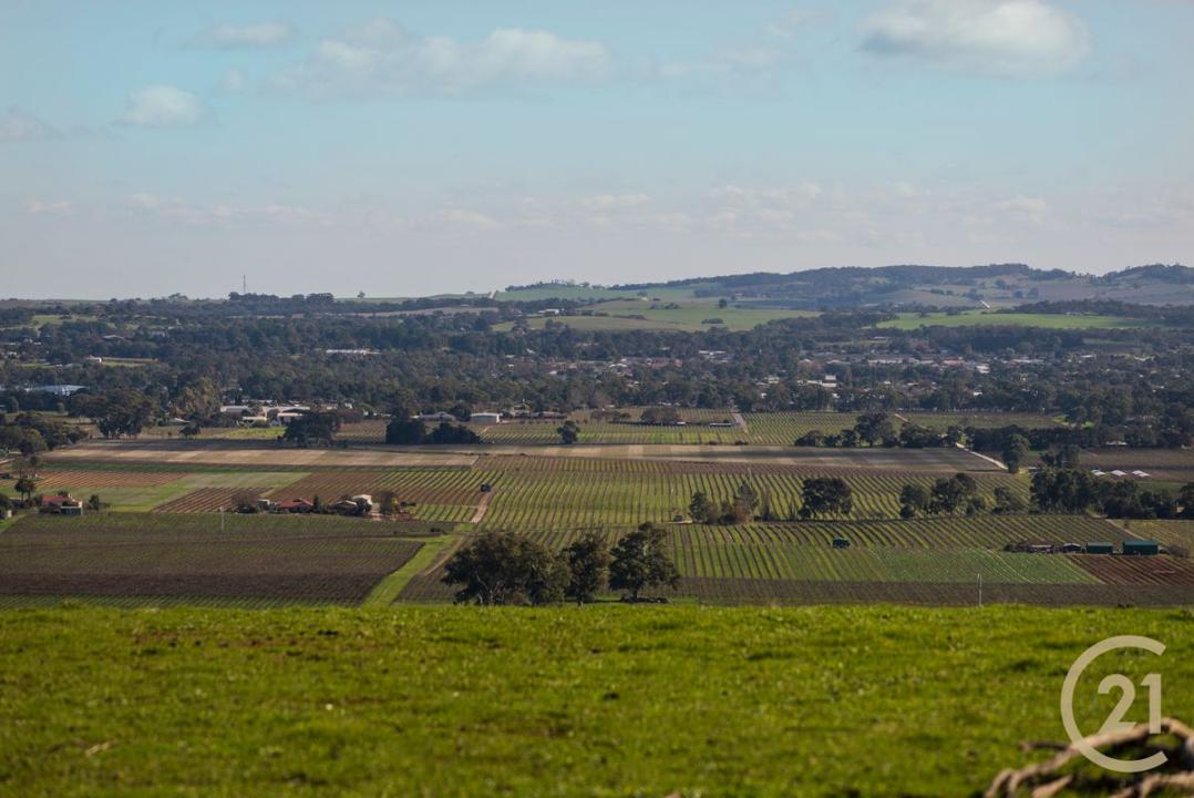 378 Richard Street, Penrice, SA 5353, Avustralya