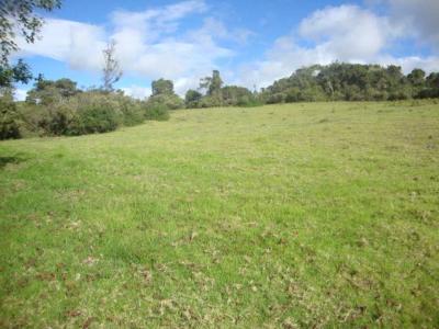 Chía, Cundinamarca 00001, Colombia