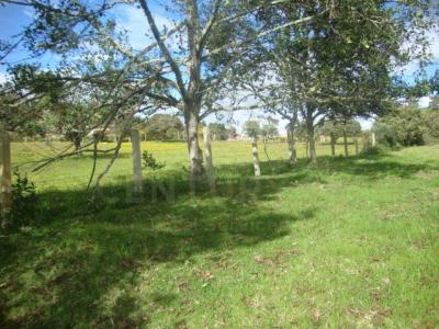 Chía, Cundinamarca 00001, Colombia