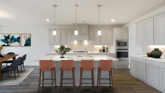 708 Redbrick Ln, Pecan Square, Northlake, Texas 76247