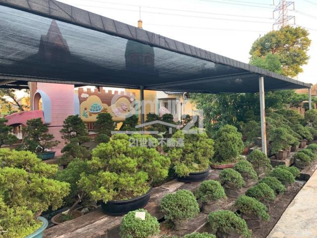 上湖段, 楊梅區, Taoyuan 326, Taiwan