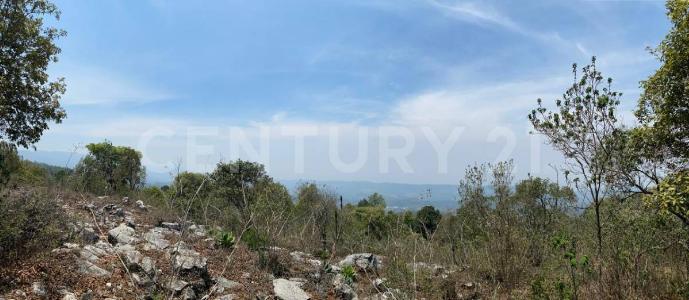 Predio Rustico denominado el Rosario, Carretera a Rancheria San José Buenavista S/N, San Cristóbal De Las Casas, Chiapas 29201, Mexico