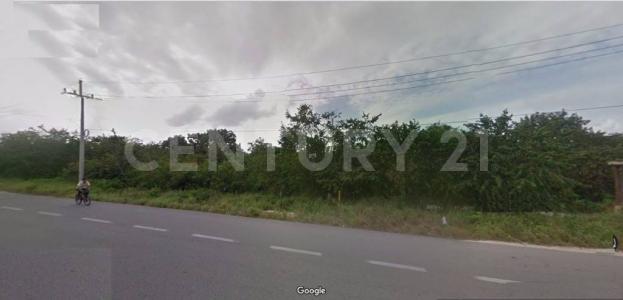 Solidaridad / Riviera Maya, 킨 타나 77710, 멕시코