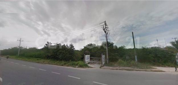 Solidaridad / Riviera Maya, 킨 타나 77710, 멕시코