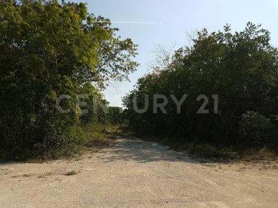 Solidaridad / Riviera Maya, Quintana Roo 77710, Mexico