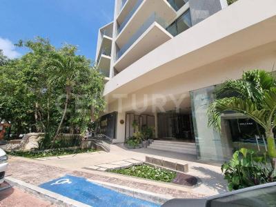 Flamingo Zazil-Ha, Solidaridad / Riviera Maya, Quintana Roo 77720, Mexiko