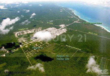 Calle 16, Tulum, Quintana Roo 77780, Mexico