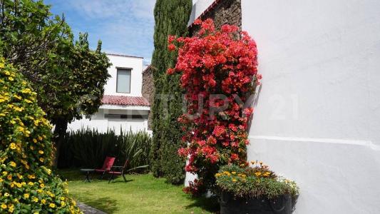 Venta de Casa Comercial zona Pirámide de Cholula, Cholula, Puebla , San Andrés Cholula, 普埃布拉 72761, 墨西哥