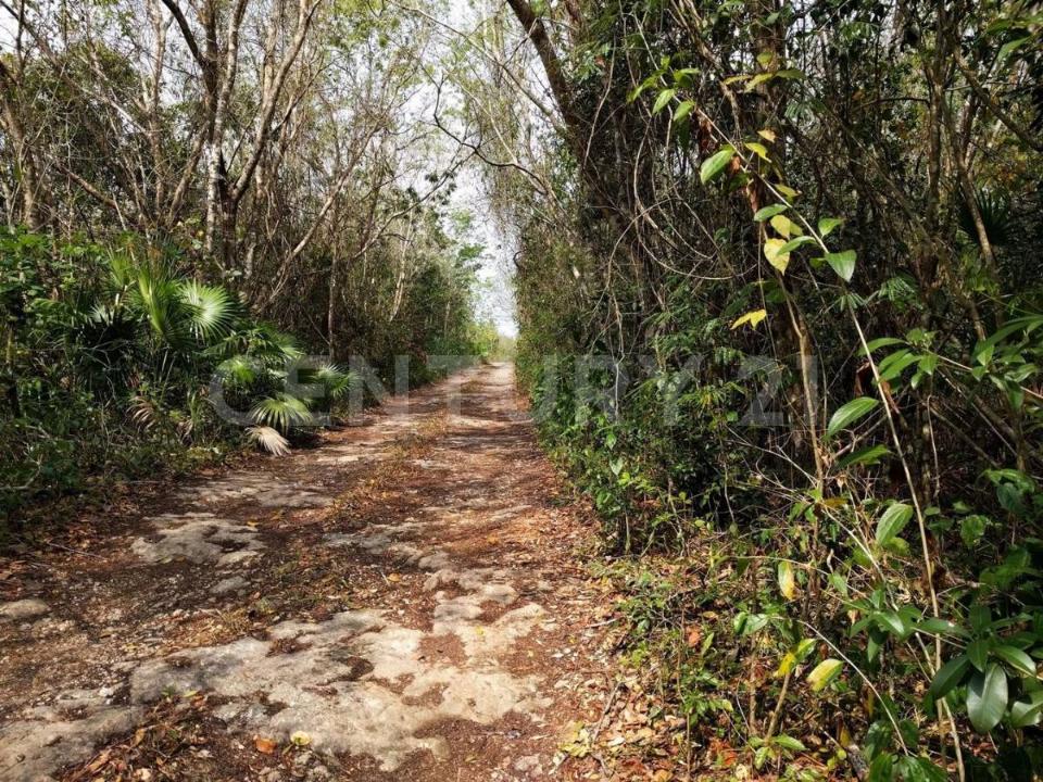 00 00, Cancún/Benito Juárez, Quintana Roo 77540, Messico