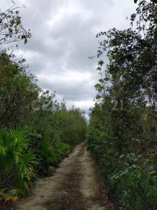 00 00, Cancún/Benito Juárez, Quintana Roo 77540, Messico