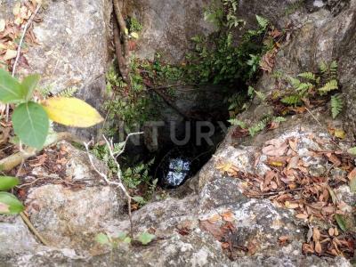 00 00, Cancún/Benito Juárez, Quintana Roo 77540, Messico