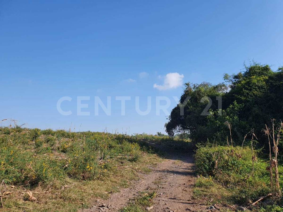 Parcela 087 Ejido Comala sn, Villa De Álvarez, Colima 28978, Mexico