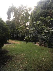 Miguel Hidalgo, Ciudad De México 11000, Mexico