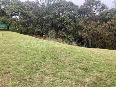 Av de los Poetas Tepozcuautla 100 - A  (TF 12 y 13), Cuajimalpa De Morelos, Ciudad De México 05600, México